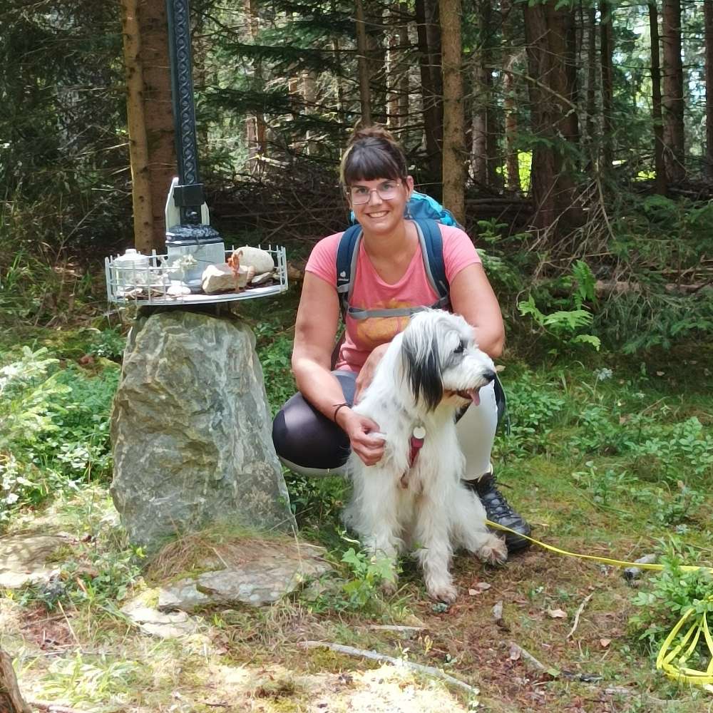 Hundetreffen-Spaziergang Kißlegg und Umgebung-Profilbild