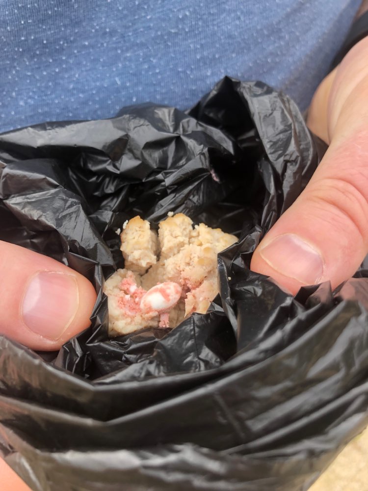 Giftköder-Giftköder-Profilbild