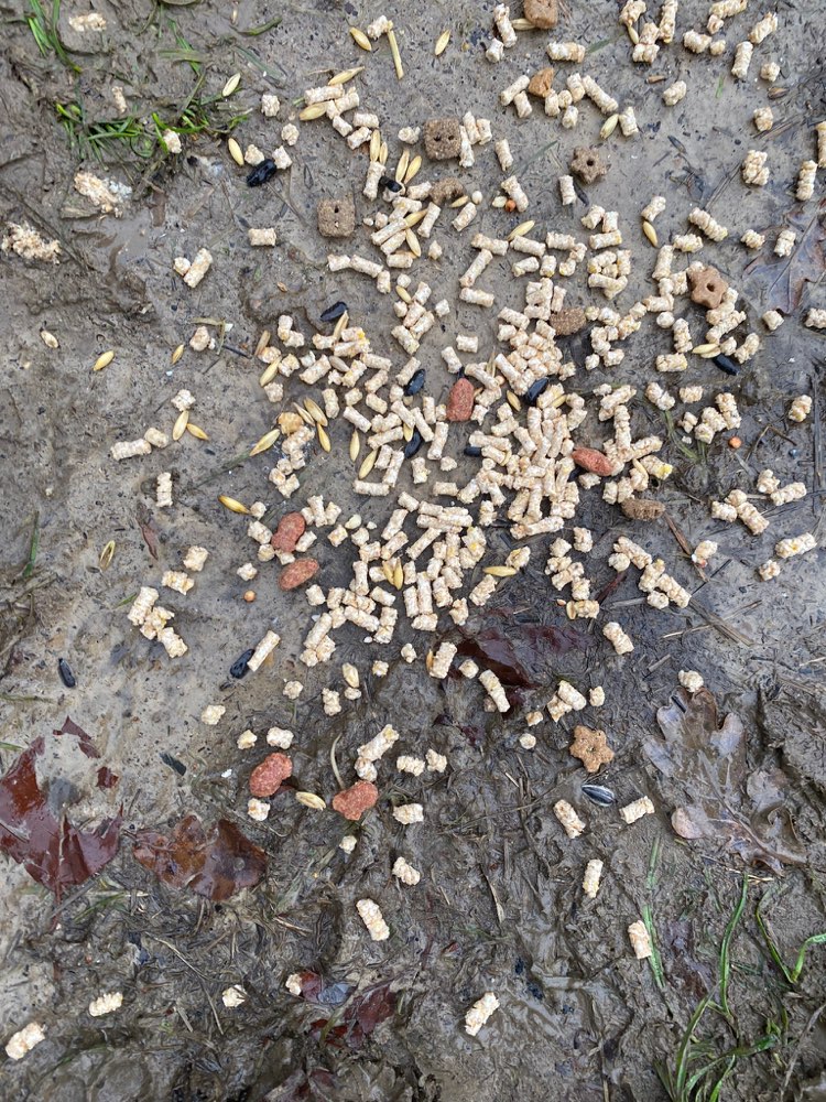 Giftköder-Giftköder!-Profilbild