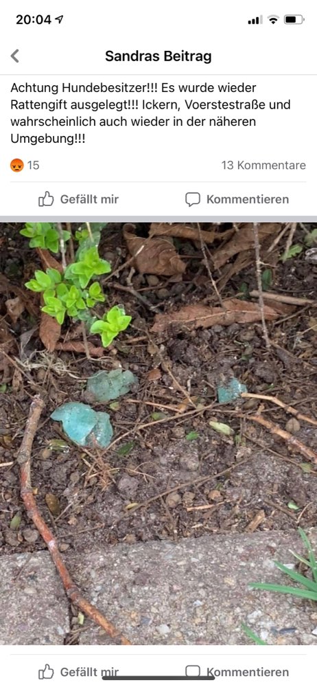 Giftköder-Vorsicht Rattengift-Profilbild