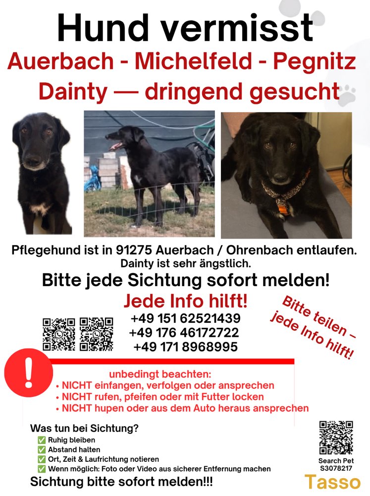 Suchmeldung-Dainty-Profilbild