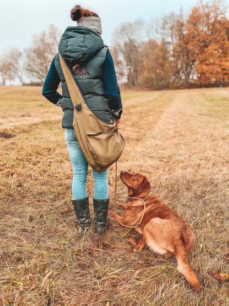 Hundetreffen-Gemeinsames Gassigehen-Profilbild