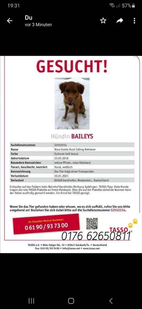 Suchmeldung-Bailey-Profilbild