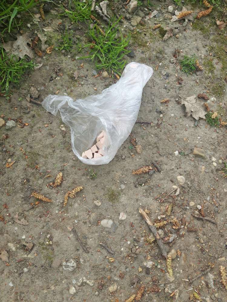 Giftköder-Verdacht auf Giftköder Friedhof Wickrath-Profilbild