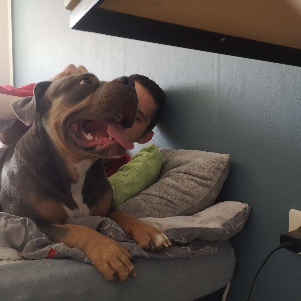 Hundetreffen-Sie will doch nur spielen-Profilbild