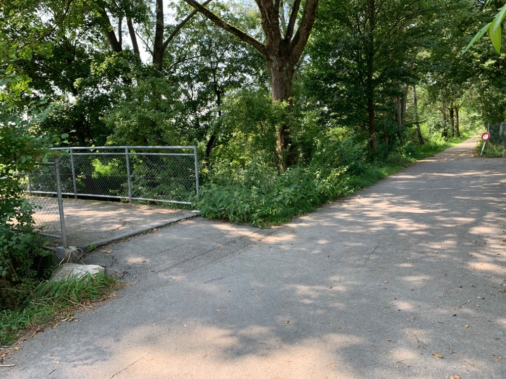 Giftköder-Achtung Blaualgen-Profilbild