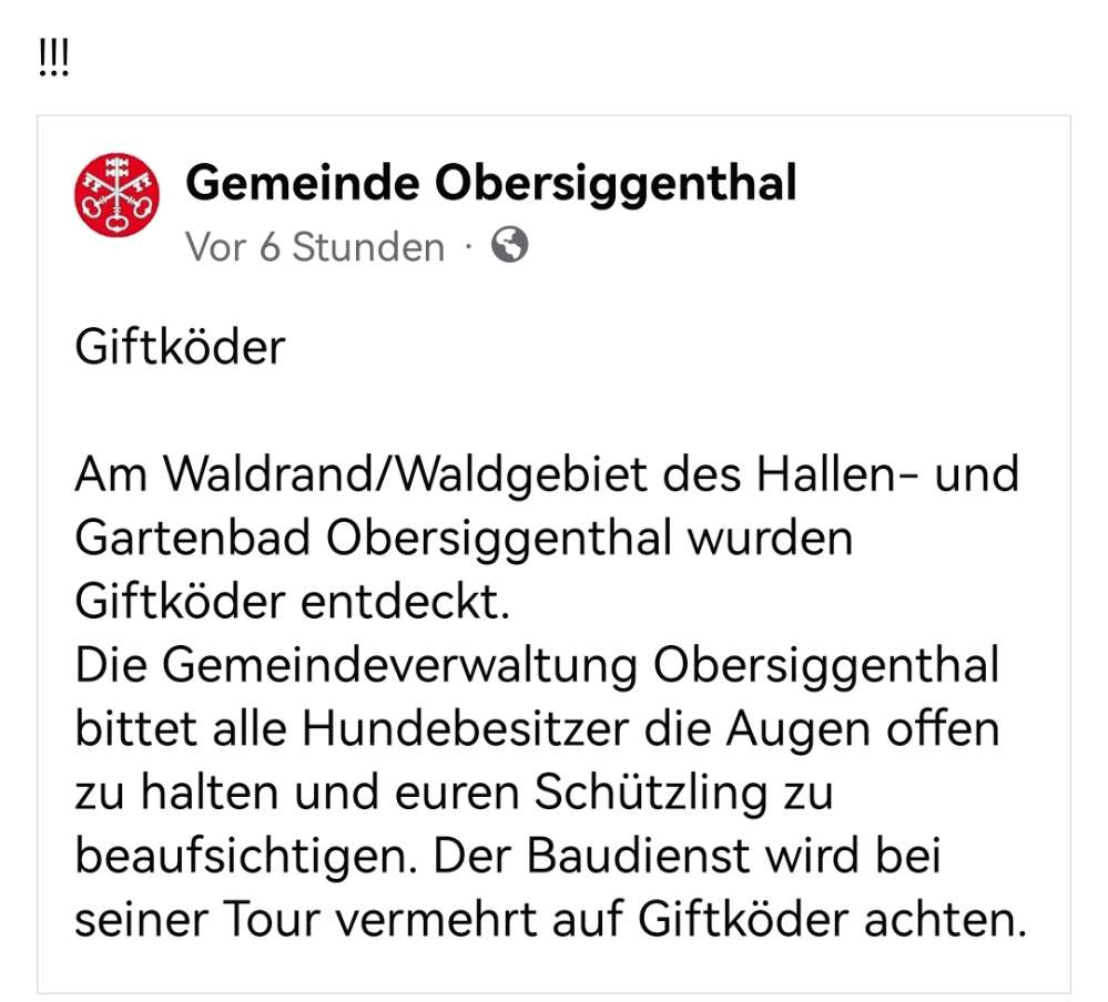 Giftköder-Giftköder-Profilbild