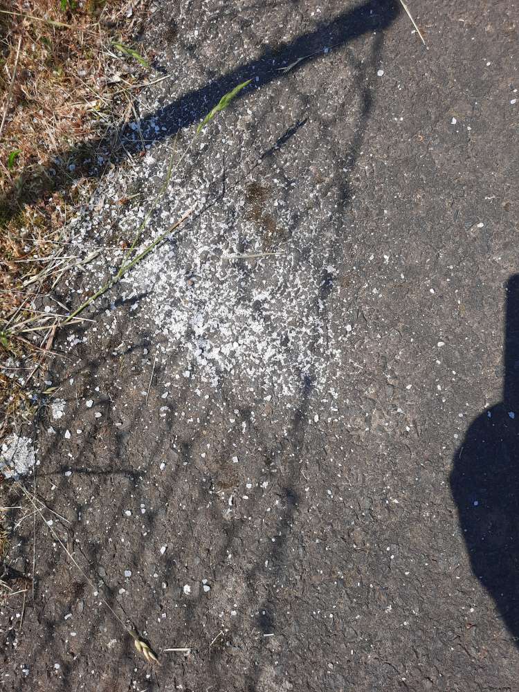 Giftköder-Kristallines Pulver auf Spazierweg-Profilbild