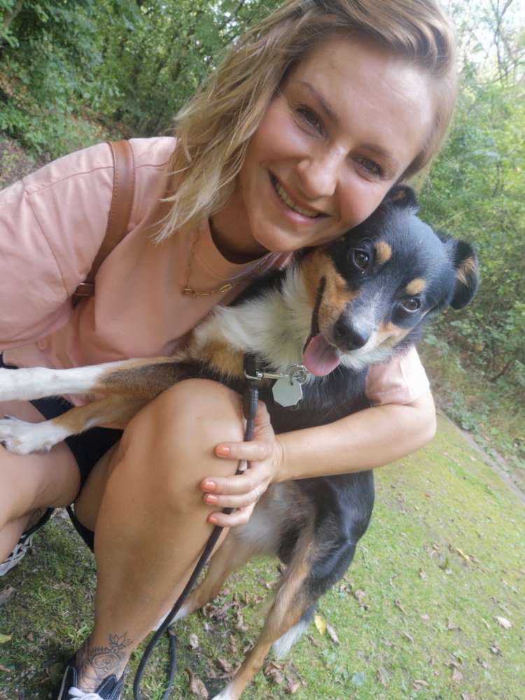 Hundetreffen-Spazieren gehen im Bräuckerwald-Profilbild