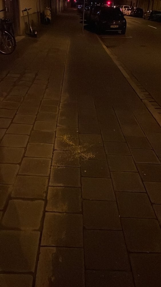 Giftköder-Mögliches Gift-Profilbild