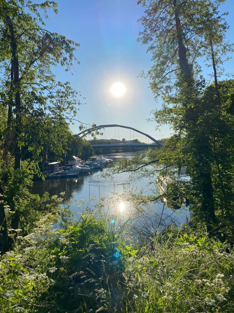 Hundetreffen-Golden Retriever Treffen Saar-Profilbild