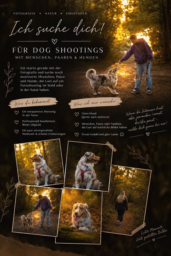 Hundetreffen-Dog Shootings-Profilbild