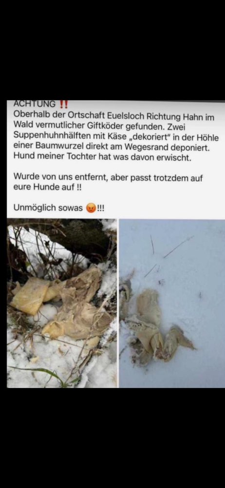 Giftköder-Giftköder-Profilbild