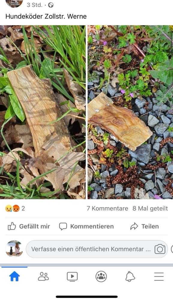 Giftköder-Vermutlicher Giftköder-Profilbild