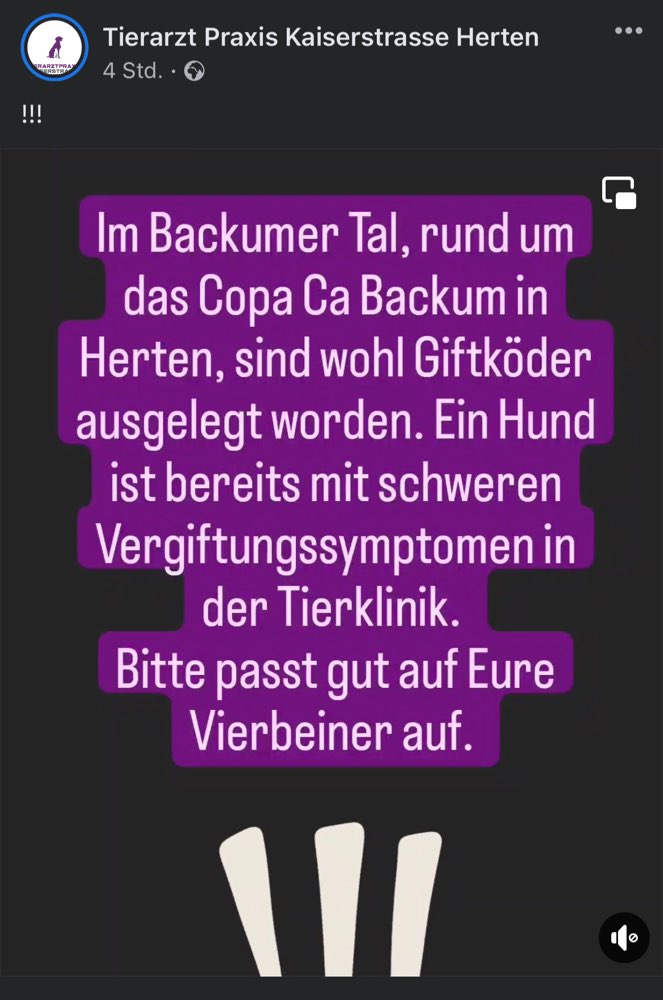 Giftköder-Giftköder im Backumer Tal-Profilbild