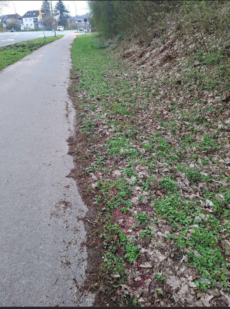 Giftköder-Gift-Profilbild