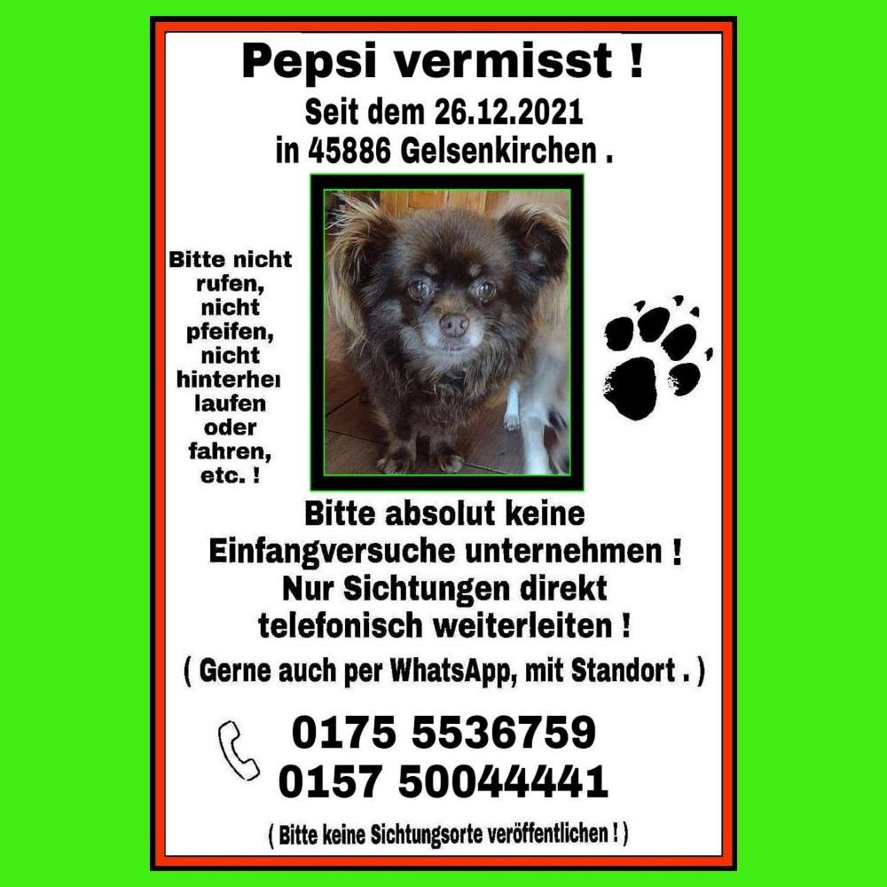 Suchmeldung-Pepsi-Profilbild