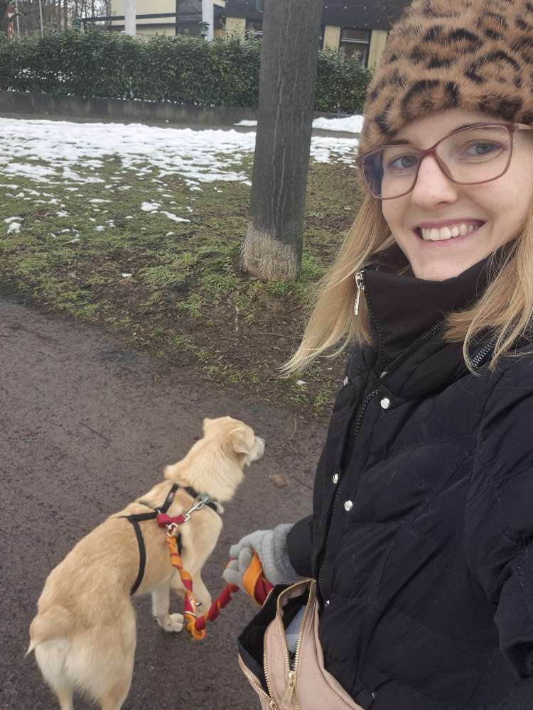 Hundetreffen-Junghundtreffen-Profilbild