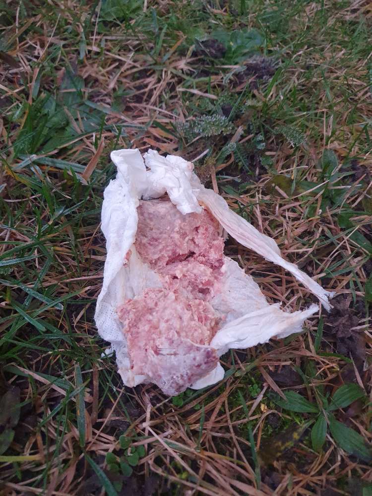 Giftköder-Giftköder-Profilbild