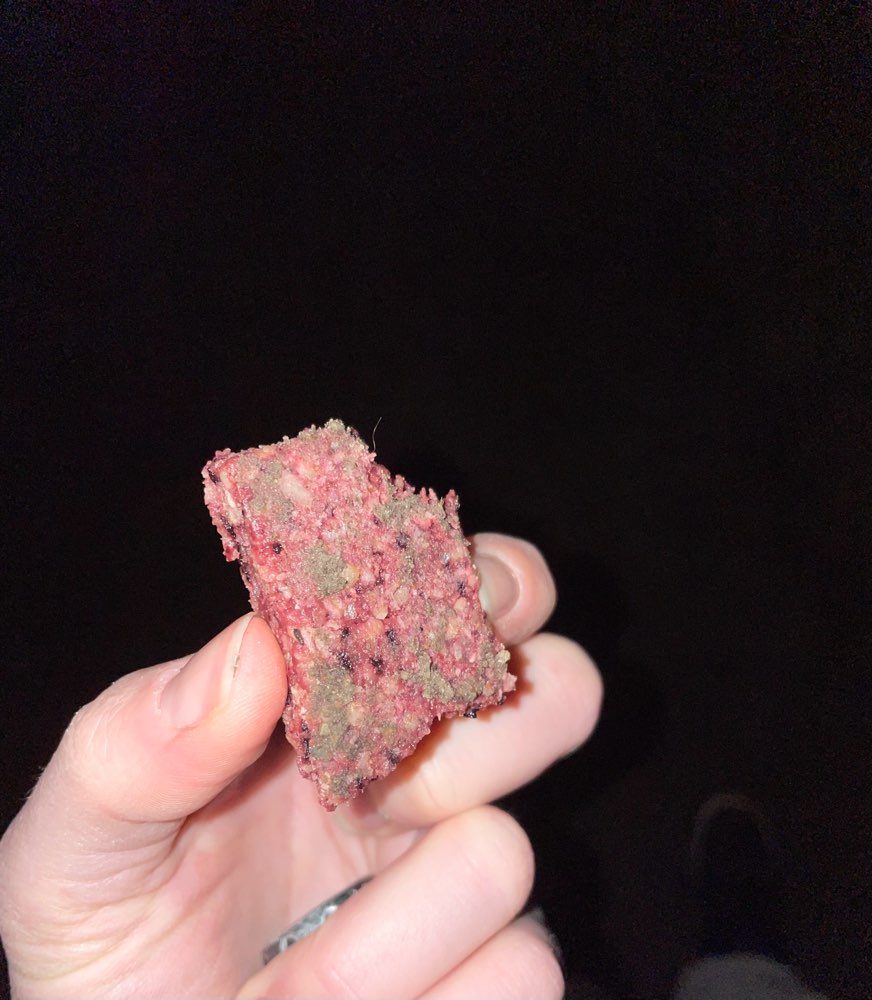 Giftköder-Eventueller Giftköder-Profilbild