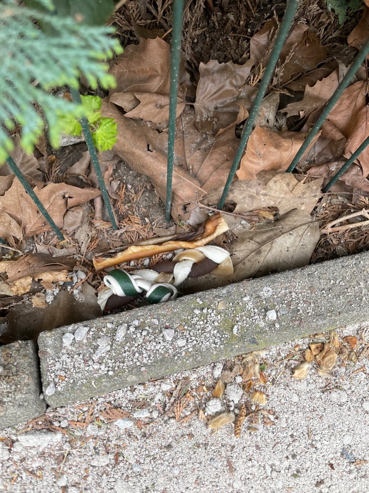 Giftköder-Eventueller Giftköder!-Profilbild