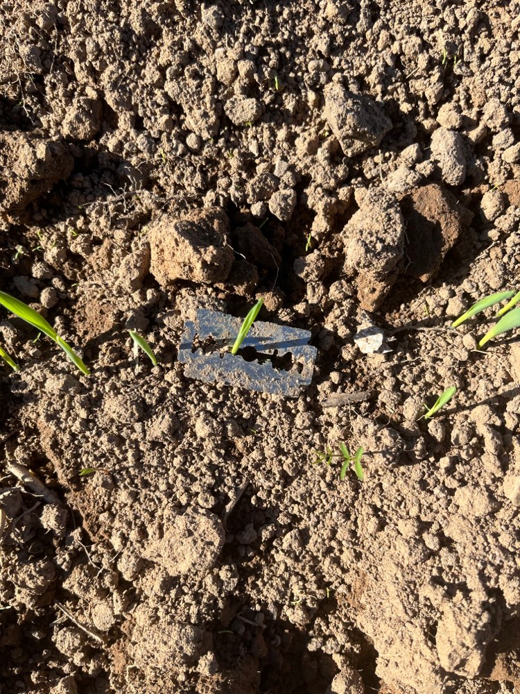 Giftköder-Rasierklinge Planetenweg-Profilbild