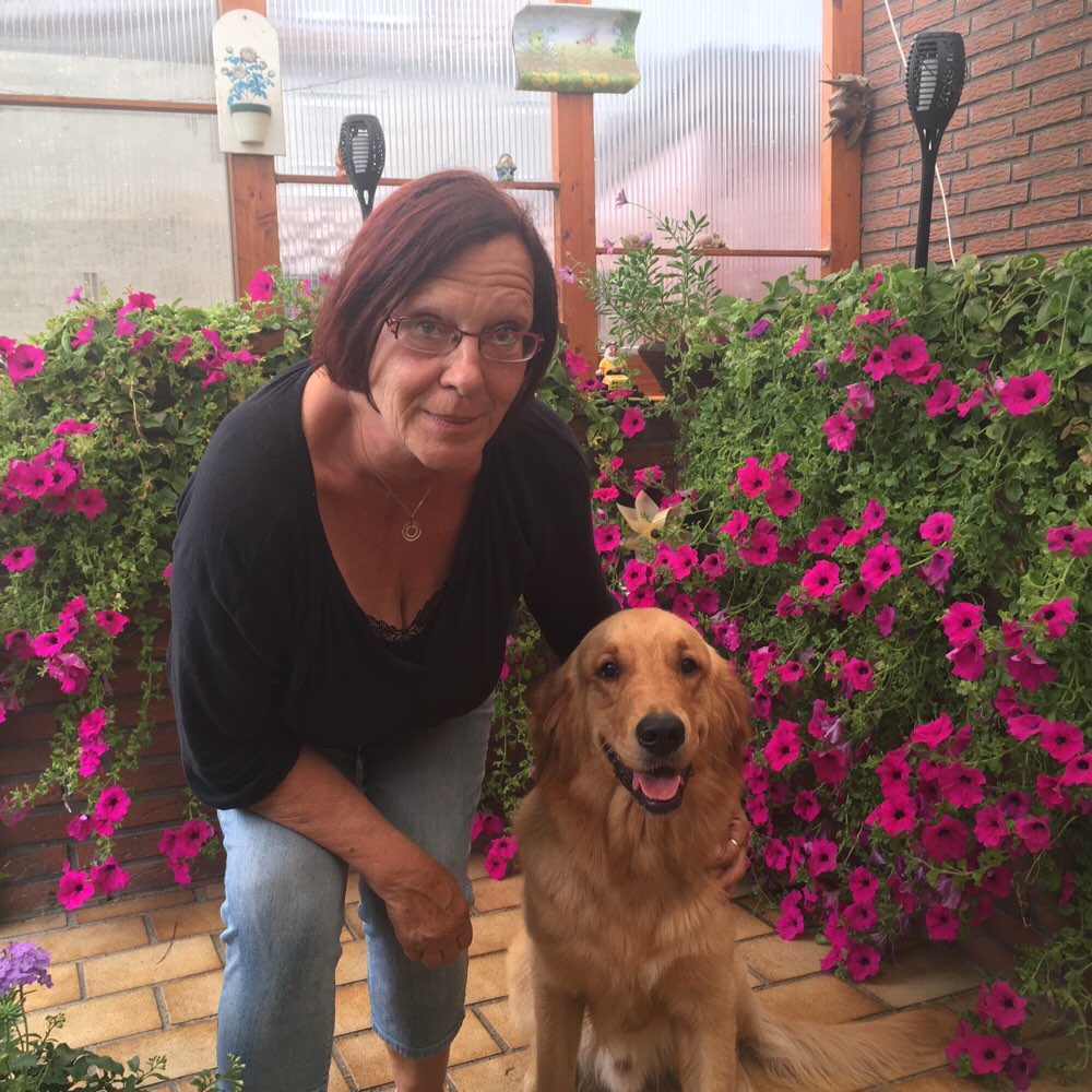 Hundetreffen-Junghund 12 Monate alt-Profilbild