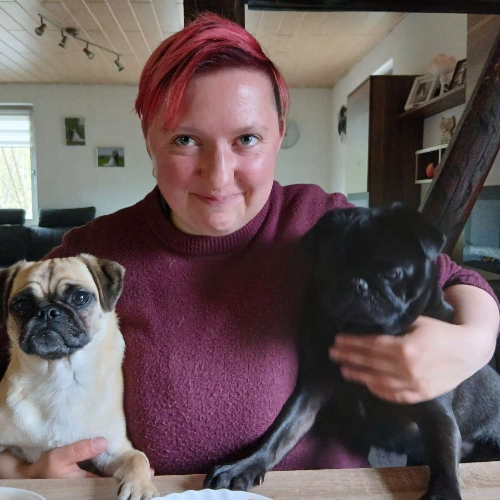 Hundetreffen-Gemeinsames Spazieren/Spielen-Profilbild