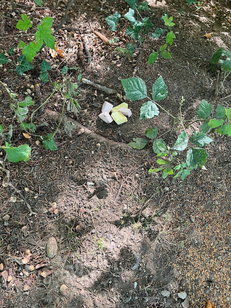 Giftköder-Möglicher Giftköder-Profilbild