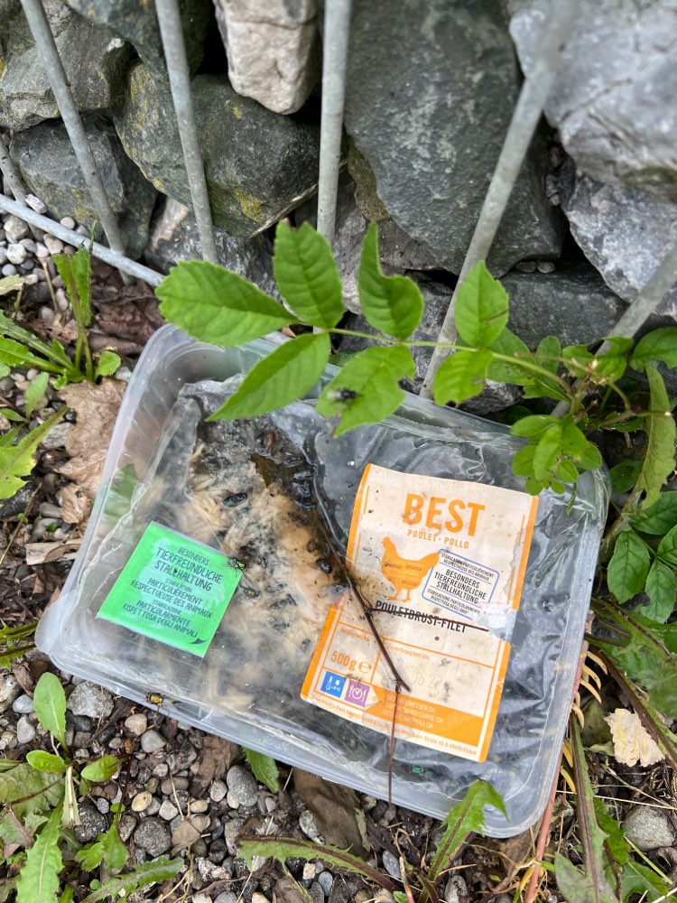 Giftköder-Evtl. Giftköder?-Profilbild