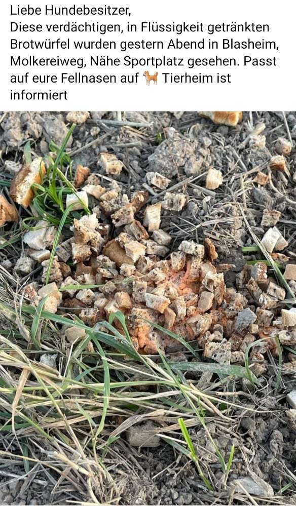 Giftköder-Brotstücke in Blasheim-Profilbild