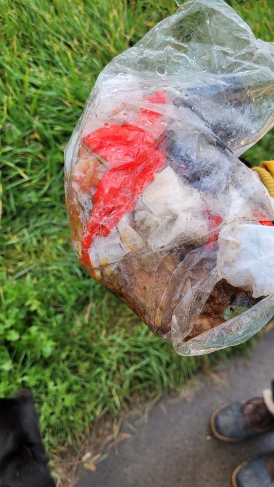 Giftköder-Rohes Fleisch-Profilbild