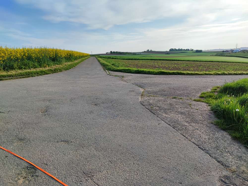 Giftköder-Blaues Korn (Schneckenkorn?) auf dem Weg-Profilbild