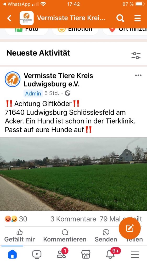 Giftköder-Giftköder-Profilbild