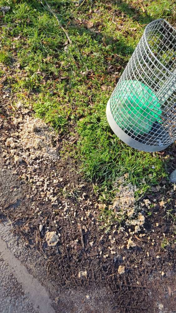 Giftköder-Abfall am Freibadparkplatz-Profilbild