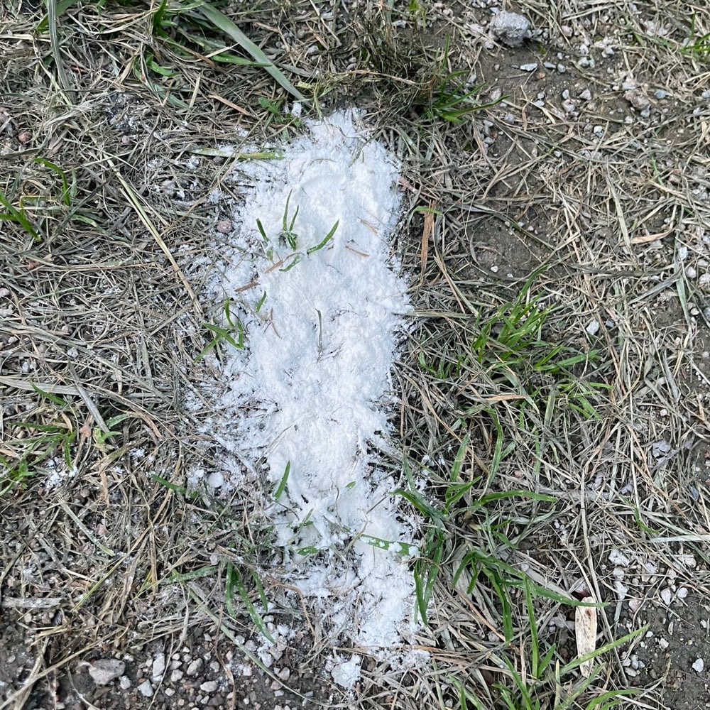 Giftköder-Weißes Pulver-Profilbild