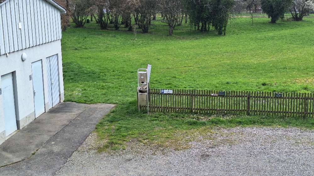 Giftköder-Wurststückchen auf der Wiese-Profilbild