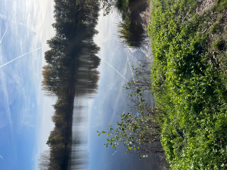 Giftköder-verdächtige Fischreste-Profilbild