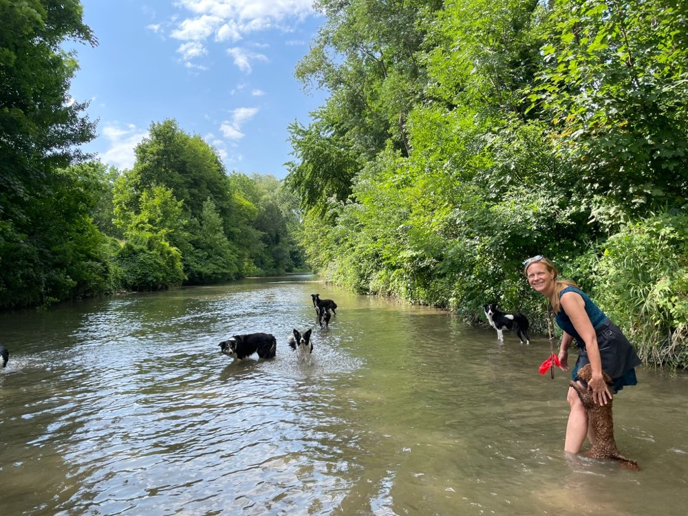 Hundetreffen-Junghunderunde in Enzesfeld-Profilbild