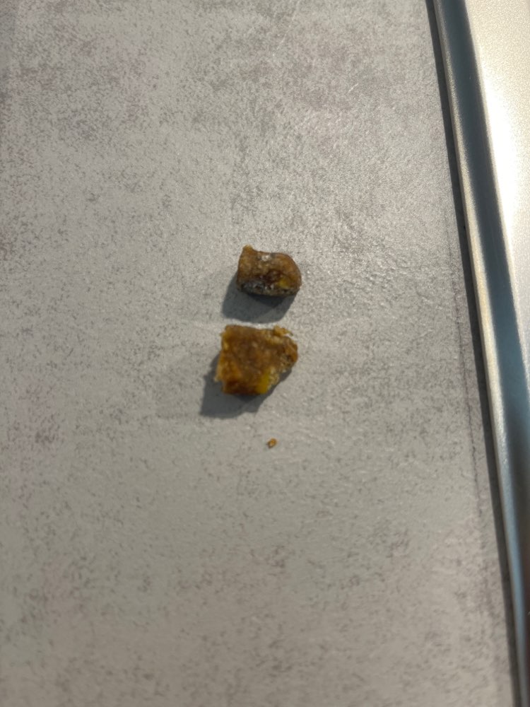 Giftköder-Unbekannte Köder auf Wiese vor Neubau-Profilbild