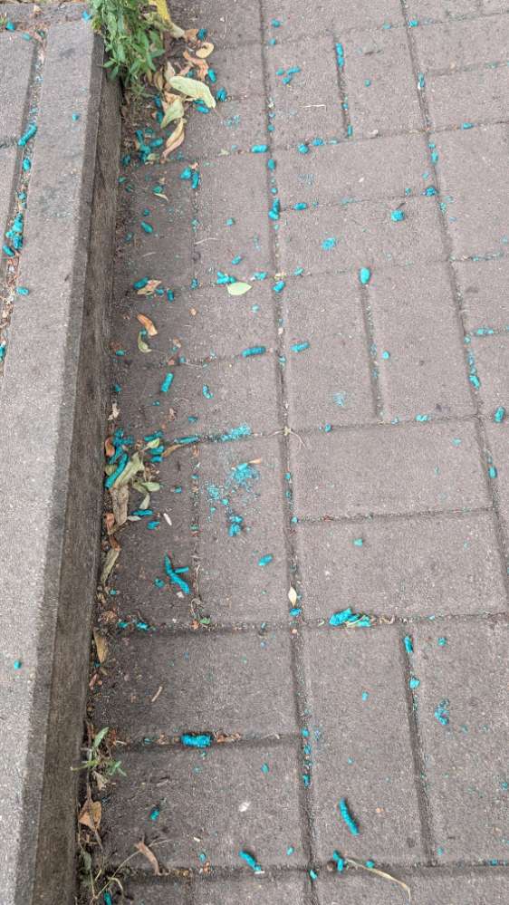 Giftköder-Vermutlich Rattengift-Profilbild
