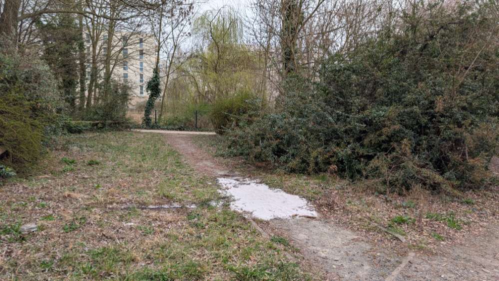 Giftköder-Verdächtige Substanz (oder Sand)-Profilbild