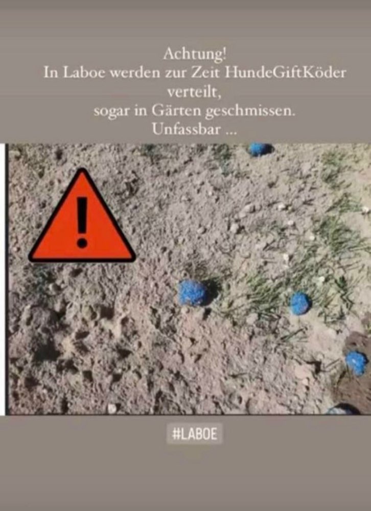 Giftköder-Giftköder-Profilbild