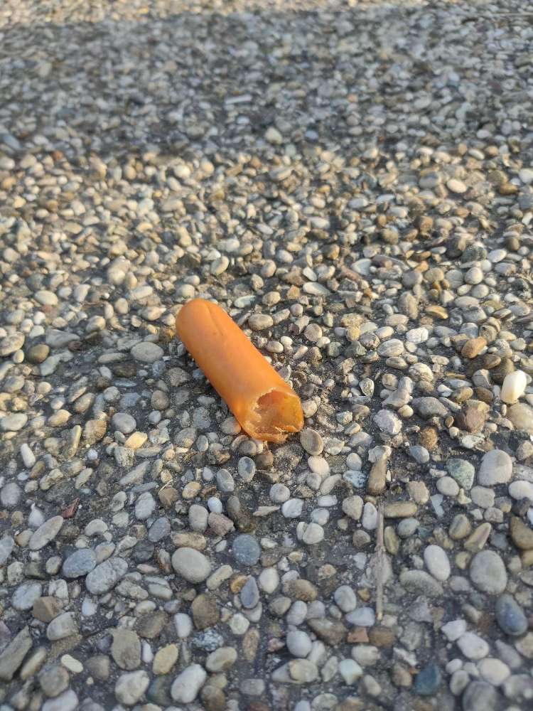 Giftköder-Eventuell Giftköder-Profilbild