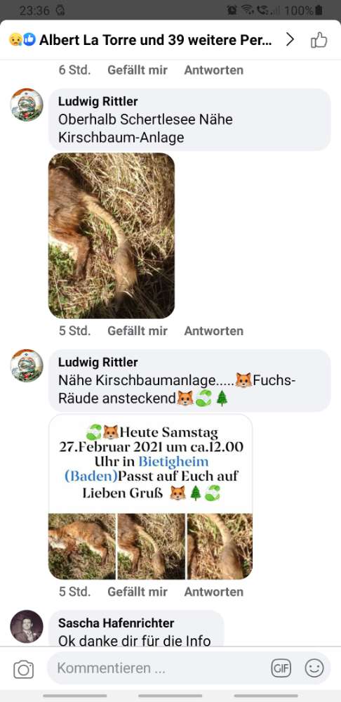 Giftköder-Fuchs-Räude-Profilbild