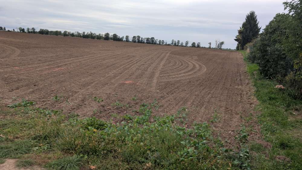 Giftköder-Giftweizen Ratten&Mäusegift-Profilbild