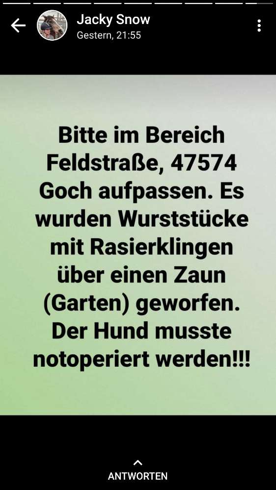 Giftköder-Giftköder-Profilbild