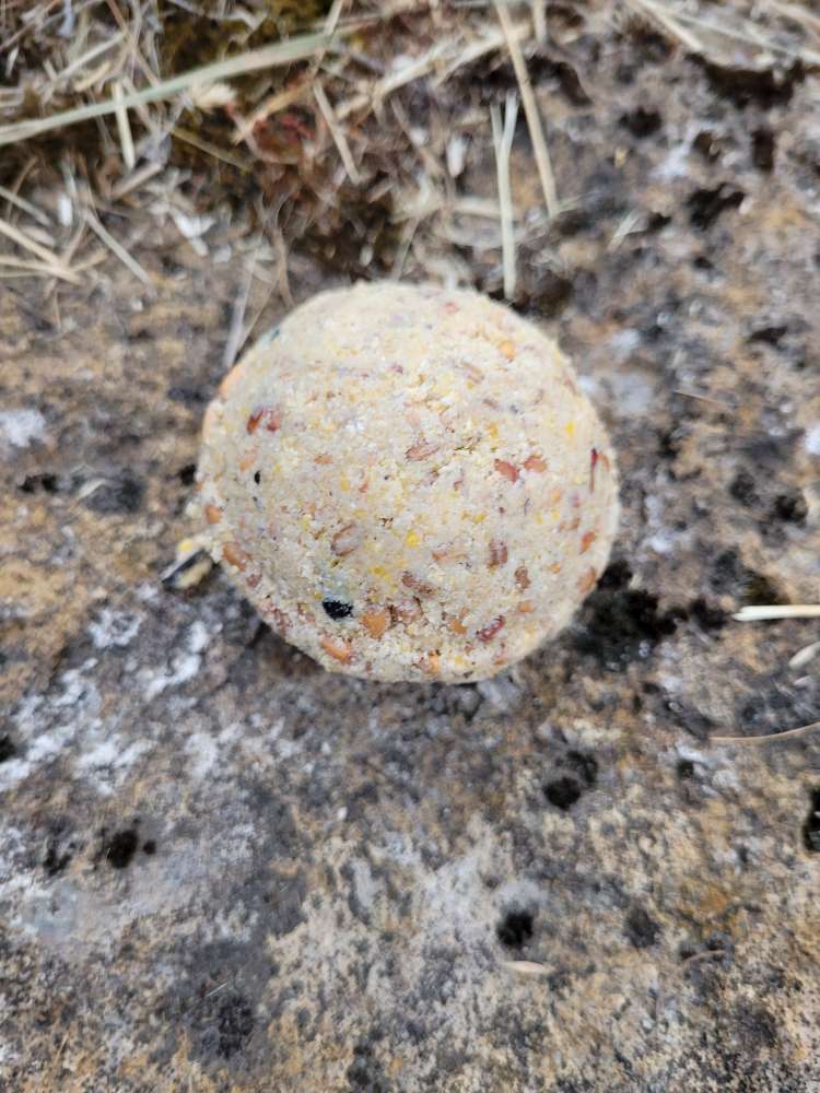 Giftköder-Vorsicht wahrscheinlich Giftköder-Profilbild