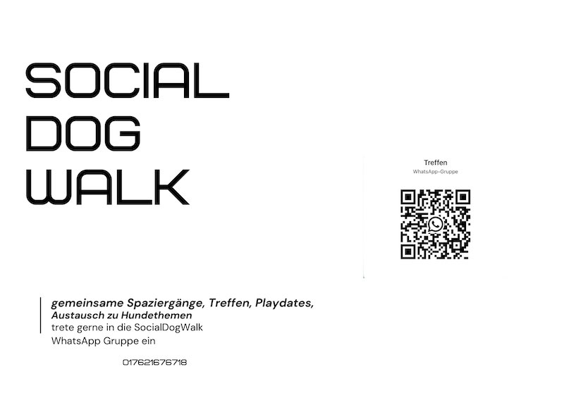 Hundetreffen-SocialDogWalk-Profilbild