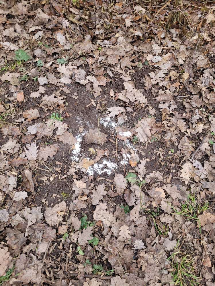 Giftköder-Vermutlich Giftköder. Weißes Pulver.-Profilbild